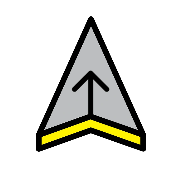 Fireteam Leader (FTL) icon