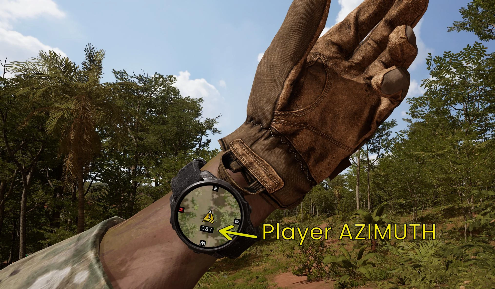 Watch Functionality